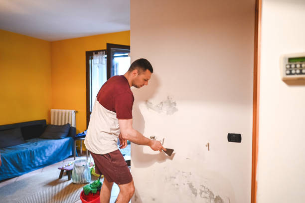 Washington, WV Mold Remediation Company